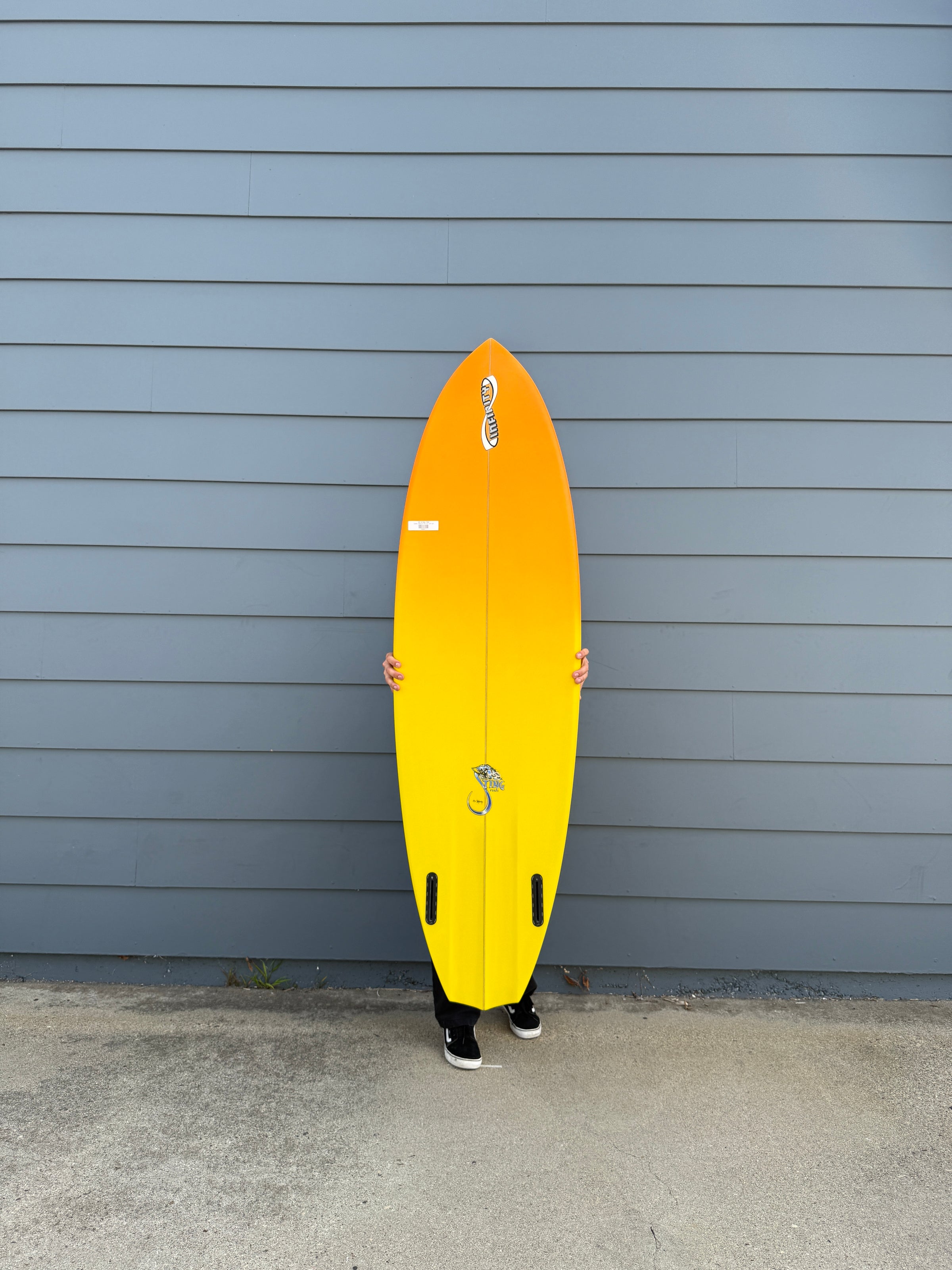 6'6" STING FISH
